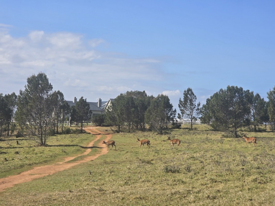 0 Bedroom Property for Sale in Kabeljauws Eastern Cape